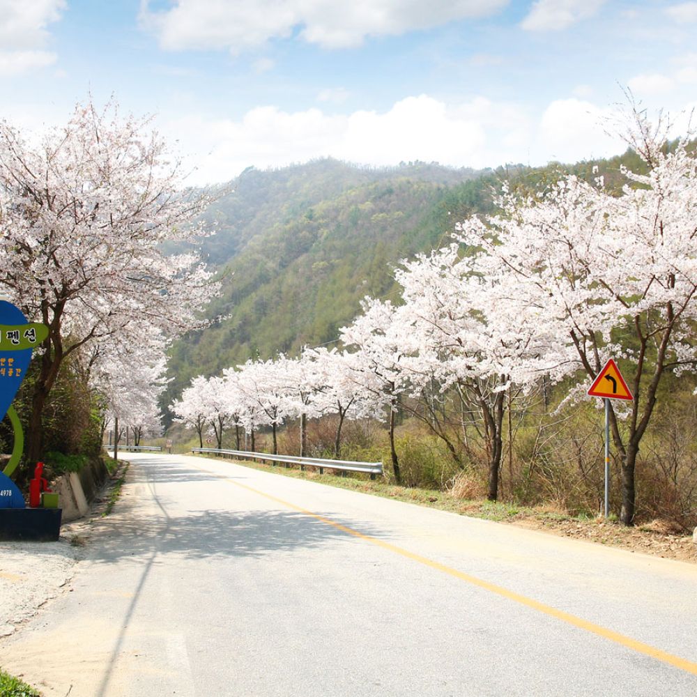 주변전경