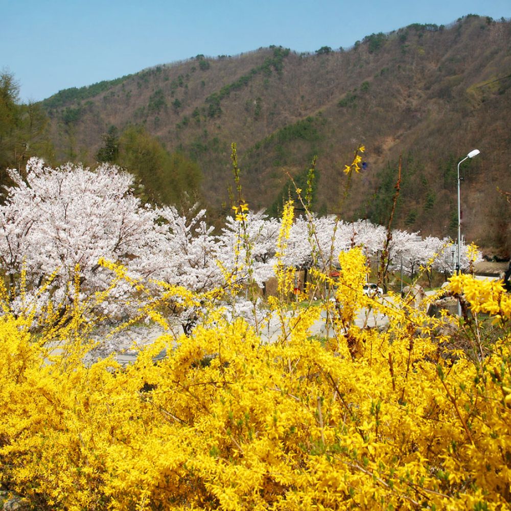주변전경