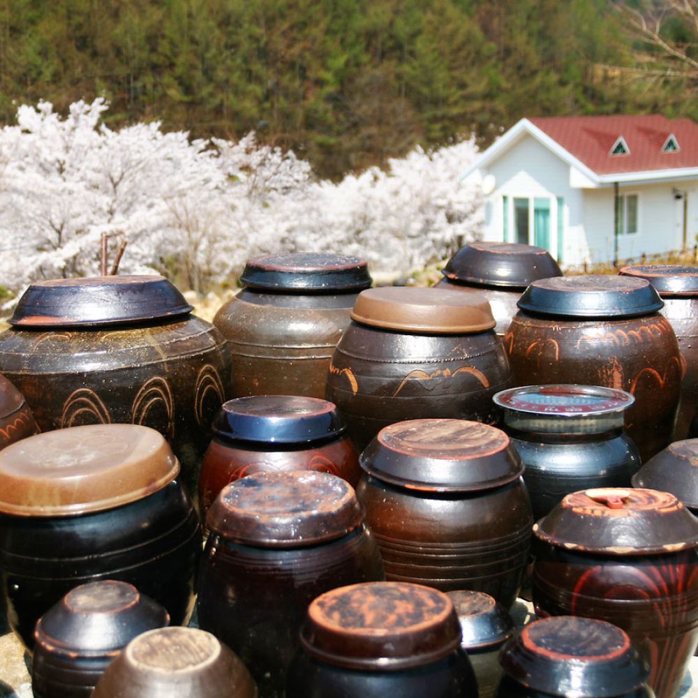 주변전경