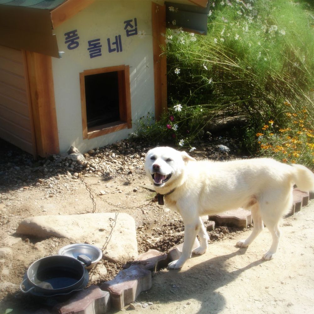 주변전경