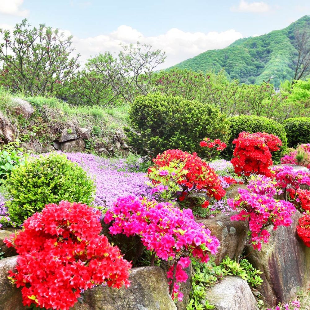 주변전경